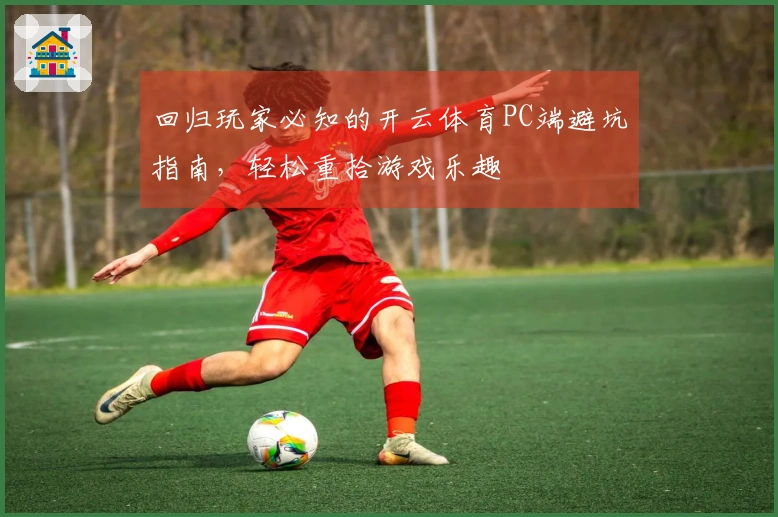 回归玩家必知的开云体育PC端避坑指南，轻松重拾游戏乐趣