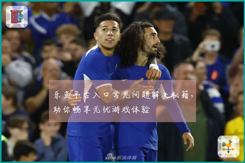 乐鱼平台入口常见问题解决秘籍，助你畅享无忧游戏体验