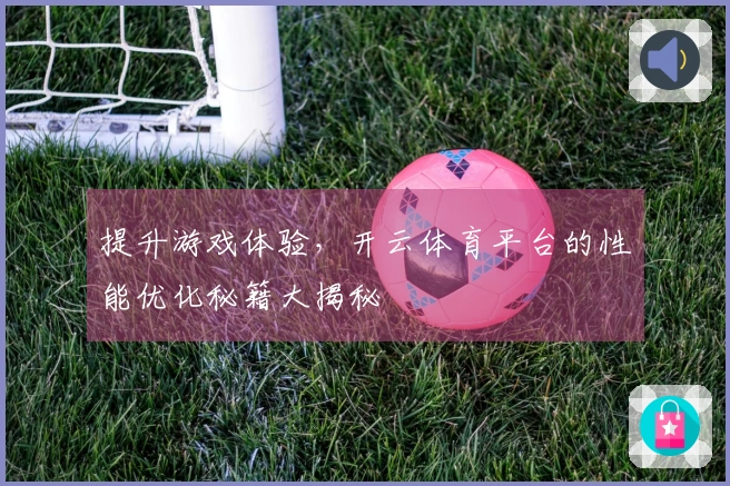 提升游戏体验，开云体育平台的性能优化秘籍大揭秘