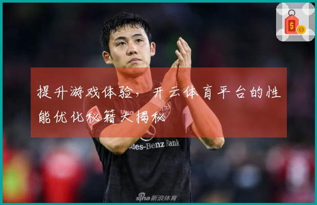 提升游戏体验，开云体育平台的性能优化秘籍大揭秘