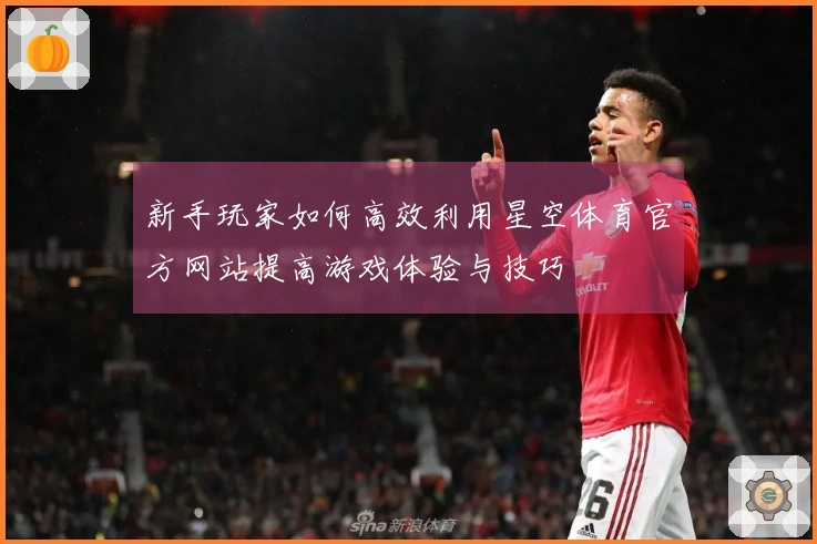 新手玩家如何高效利用星空体育官方网站提高游戏体验与技巧